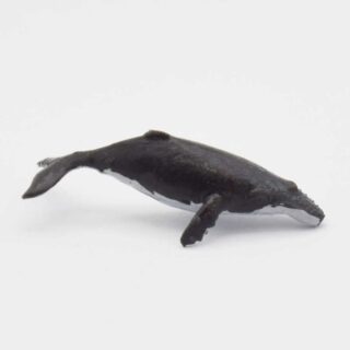 ماکت نهنگ گوژپشت