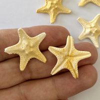 ماکت ستاره دریایی رزین اپوکسی