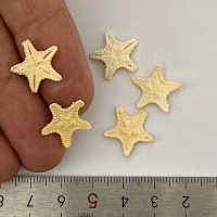 ماکت رزین اپوکسی ستاره دریایی