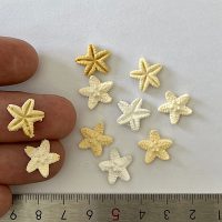 ستاره دریایی مینیاتوری رزین
